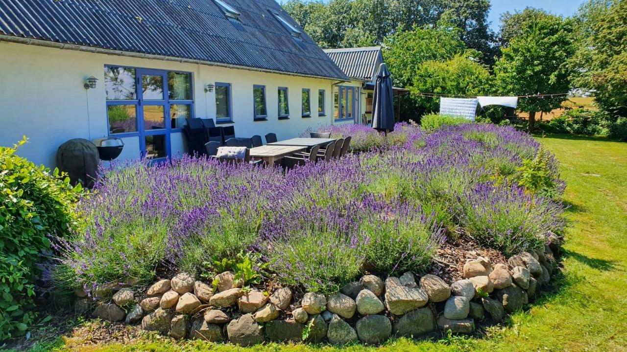 Rolso Retreat Villa Knebel Exterior photo